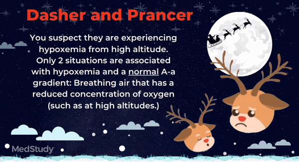Patient Case 5: Dasher and Prancer