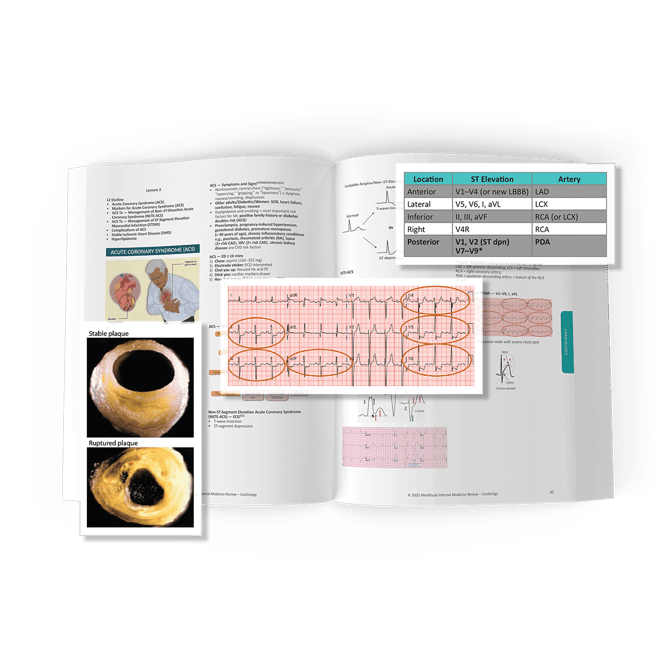 2023 im review course syllabus