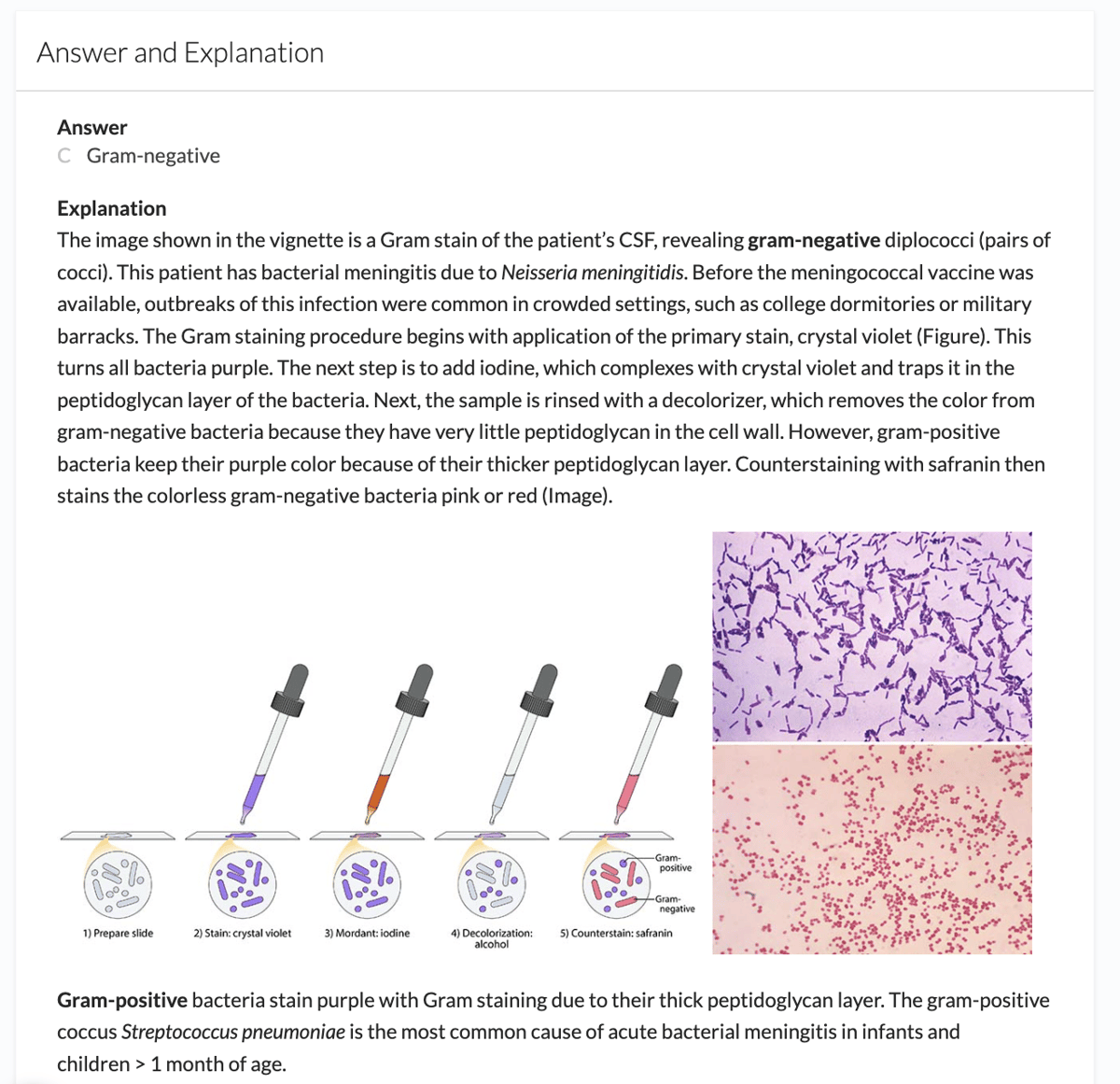 How to Study for Microbiology in Med School