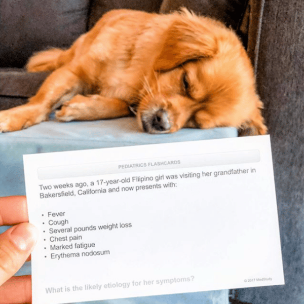 doctor be holding a medstudy pediatric flashcard in front of her adorable dog