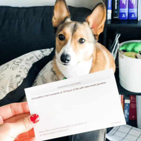 doctor be holding a medstudy pediatric flashcard in front of her adorable dog