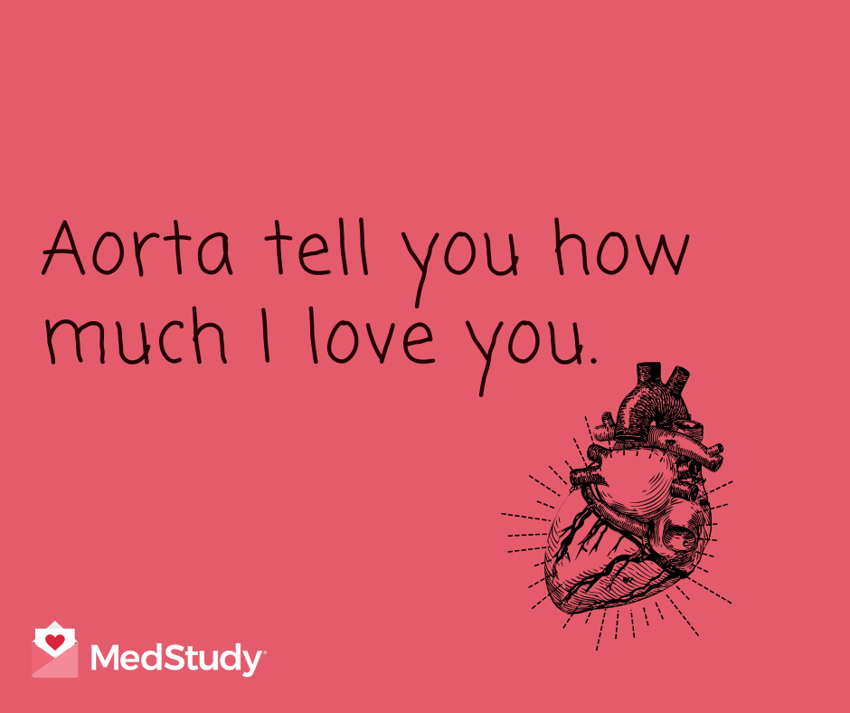 Aorta tell you how much I love you. Doctor Valentine.