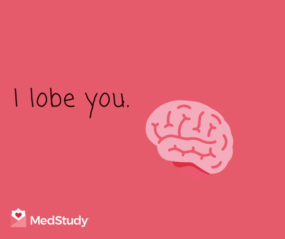 I lobe you. Doctor Valentine.