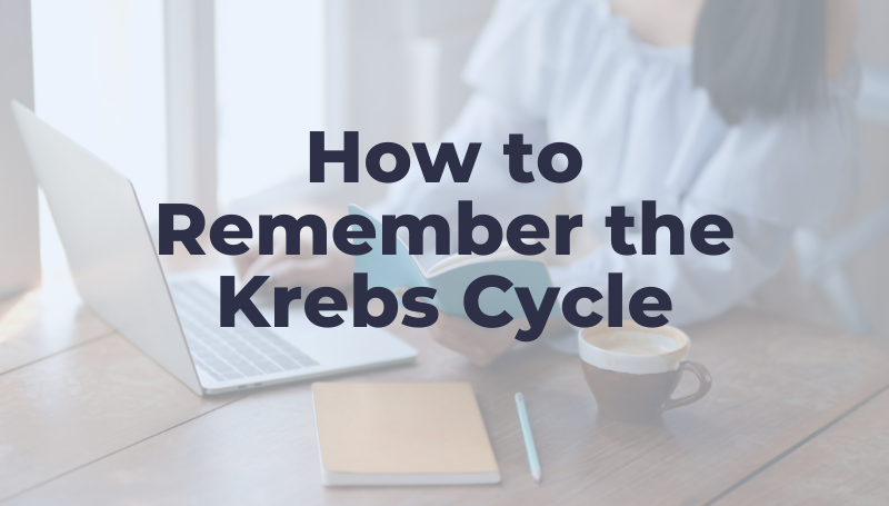 assignment on krebs cycle
